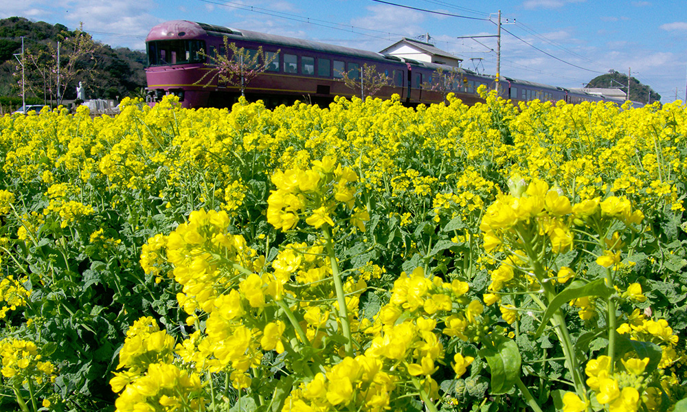 花咲く町・鋸南